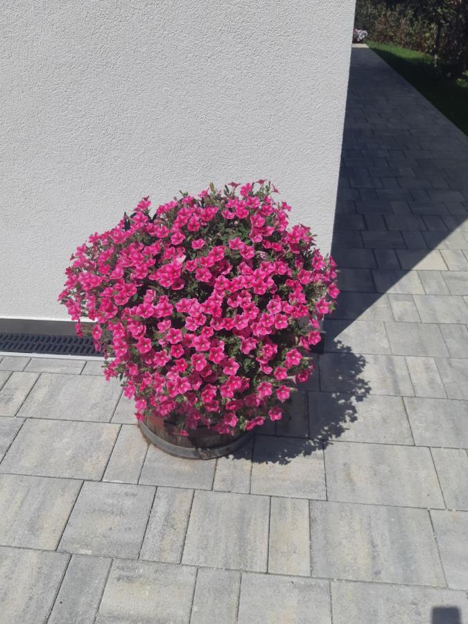 Papillon I Dolce Vita Tar-Vabriga Exterior foto